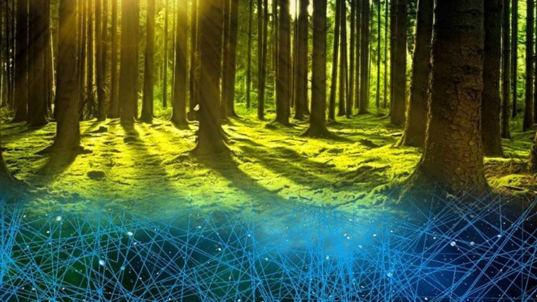 Zukunftskonferenz Biologische Transformation