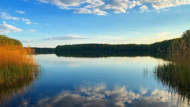 Siethener See, Ludwigsfelde