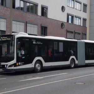 Öffentliche EU-Konsultation: Kraftomnibusfahrer – Lenk- und Ruhezeiten